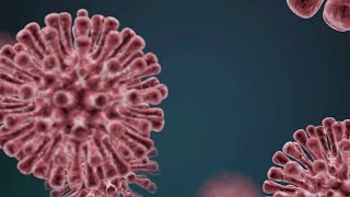 Coronavirus i test sierologici quotSe gli anticorpi ci proteggeranno potremo tornare a lavorarequot [upl. by Nnylaehs]