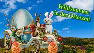 Willkommen in der Osterzeit 🐰 liebe Grüße aus der Ferne 🌺 [upl. by Aylsworth159]