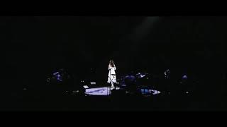 Aimer  Anata ni deawanakereba Live concert Sub Indo [upl. by Nagud]