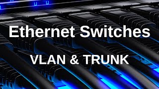 NETWORKING Funkcjonalności Przełączników Ethernet – VLAN amp TRUNK [upl. by Spindell510]