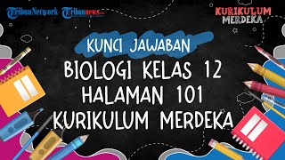 Kunci Jawaban Biologi Kelas 12 Halaman 101 Kurikulum Merdeka Sifat Resesif dan Dominan [upl. by Anuala]