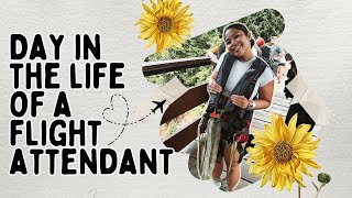 WE WENT BUNGEE JUMPING ON OUR LAYOVER 😳  flightattendantlife flightattendantvlog [upl. by Sisco]