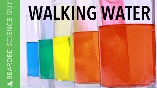 Walking Water Experiment Chemistry [upl. by Karee389]