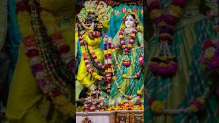 bhakti song  Tu Mera Main Tera Pyare radharadhe radhekrishna radhekrishnalovers [upl. by Scoles781]