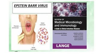 Microbiology  Epstein barr virus microbiology epsteinbarrvirus infectiousmononucleosis [upl. by Lavelle]