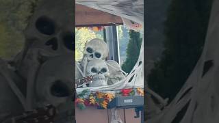 Skeletons playing music live Music halloween skeleton [upl. by Ephraim]