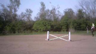 SUICIDE RIDE bucking horse [upl. by Jabez]