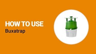 How to use Buxatrap from Koppert [upl. by Ellehsal]