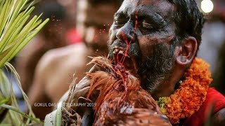 karinkali pooram ✨ kannenkavu 🔥 [upl. by Eustazio]