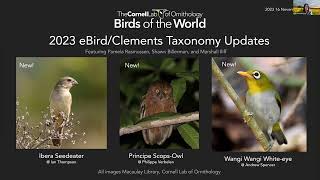 Birds of the World Discovery Webinar 2023 eBirdClements Taxonomy Update [upl. by Yettie]