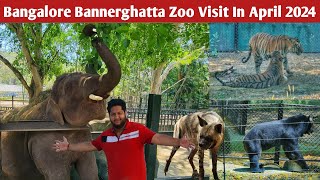 bannerghatta national park  bannerghatta zoo  bangalore zoo  bannerghatta park  bannerghatta 4k [upl. by Tnirb]