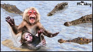 Horrifying Moment Monkey Seriously Injured When Attacked By Ferocious Crocodile  Fighting Animals [upl. by Anitnoc]