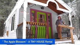 The quotApple Blossom Cottagequot A Tiny House For Rent [upl. by Ajet]