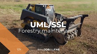 UMLSSL forestry mulcher  One of the most successful models in the FAE range [upl. by Enaed513]