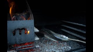 Folge192  Steckerlfisch mit Rosenkohl vom Grill Deutsches Rezept [upl. by Edgardo]