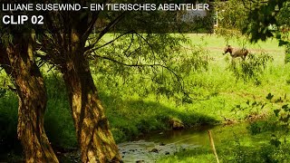 Liliane Susewind  Ein tierisches Abenteuer Clip 02 [upl. by Giralda197]