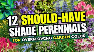 🌲🌈 TRANSFORM YOUR SHADE 12 Best Shade Perennials for Overflowing Garden Color 🌸 [upl. by Esej]