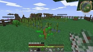 ZONAMINECRAFT2 LOS CRAFTEOS MAGICOS MUTANDIS 19 [upl. by Modnar]