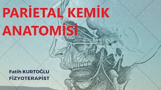 FTR  PARİETAL KEMİK  Anatomi Konu Anlatımı10 [upl. by Kippie]