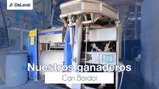 DeLaval  Nuestros ganaderos  Robot de ordeño  Can Bordoi [upl. by Sualocin]