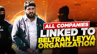 The Rise and Fall of the Beltran Leyva Cartel  All that were linked to organization [upl. by Dominik]