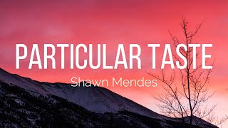 Shawn Mendes  Particular Taste Lyrics [upl. by Olodort]