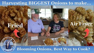 How To Make Blooming Onions  2 Ways to Cook [upl. by Pamella]