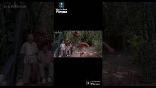 Two special kicks from Vandamme jcvd kick karate [upl. by Anifad]