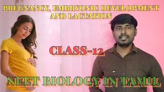 PREGNANCY EMBRYONIC DEVELOPMENT LACTATION CLASS 12 BIOLOGY FOR NEET IN TAMIL [upl. by Boswall]