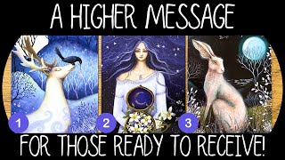 A Higher Message For Those Ready To Receive✨🕯️🌏🫶🏼✨⎜Timeless Reading [upl. by Dulcea]