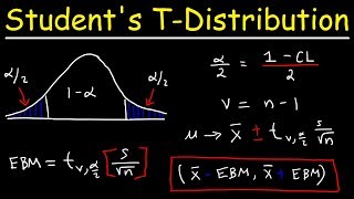 Students T Distribution  Confidence Intervals amp Margin of Error [upl. by Uzzial200]