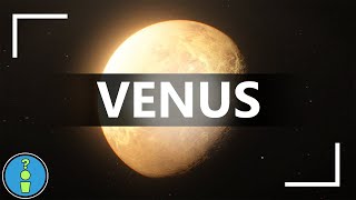 VENUS [upl. by Madai]