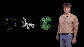 Karl Deisseroth Stanford  HHMI Development of Optogenetics [upl. by Padgett]