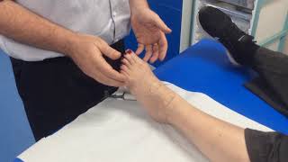 How to check for the dorsalis pedis amp anterior tibial pulse with a Doppler [upl. by Nylirej]