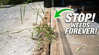 How To Get WEEDFREE Sidewalks And Driveways The PERMANENT Solution DIY [upl. by Ecirtac]