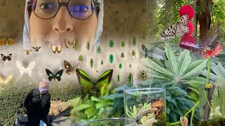 5 خريجة معنا ل le jardin botanique et l’insectarium لي في مونتريال، هادشي زوين بزاف [upl. by Gildas]