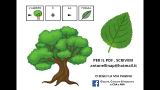 L ALBERO amp LA FOGLIA caa [upl. by Tansey582]