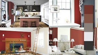 Color Trends Benjamin Moore  Spicy [upl. by Cohby]