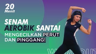 Senam Aerobik Pemula Bakar Lemak Perut Tanpa Alat  Workout dirumah [upl. by Gonroff]