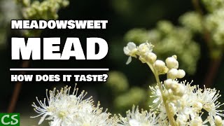 Meadowsweet Mead Tasting  Something Surprising Happened [upl. by Aiken]