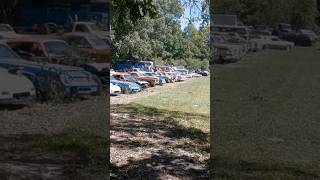 BARN FINDS  Junkyard Full of Old PontiacsFord CamarosMustangsCadillacs and More automobile [upl. by Ellenrahc]