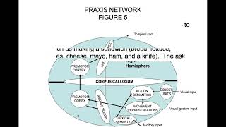 Apraxia Part 3 Conceptional Ideational and Construction Apraxia [upl. by Katonah]