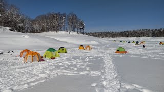 【北海道わかさぎ釣り】朱鞠内湖爆釣モードに突入😆 船着場で10束達成😆 [upl. by Milks]