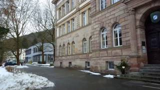 MarkgrafGeorgFriedrichGymnasium Kulmbach [upl. by Nyltac]