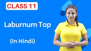 The Laburnum Top Class 11  Full हिन्दी में [upl. by Ihtraa]