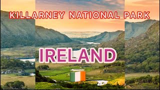 Exploring the Enchantment of Killarney National Park and the Gap of Dunloe Ireland 🇮🇪drone view [upl. by Cerell]