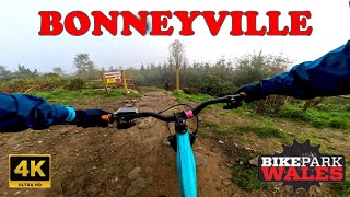 Bike Park Wales  Bonneyville [upl. by Weitzman387]