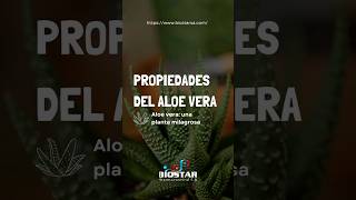 PROPIEDADES DEL ALOE VERA [upl. by Enier994]