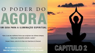 O Poder do Agora  CAPITULO 2  Não Crie Mais Sofrimento No Presente AudioBook [upl. by Manson]