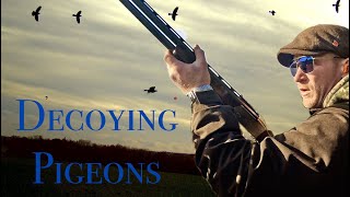 Decoying Pigeons With ShotKam [upl. by Ruenhcs226]